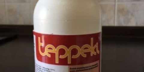 Teppec insekticid: kako primijeniti protiv bijelog mušica, tripsa i drugih štetočina insekata